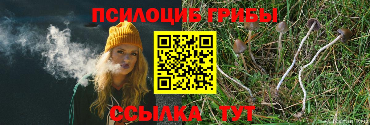 Псилоцибиновые грибы MAGIC MUSHROOMS  Вход с VPN  купить наркотики сайты  Озёрск 